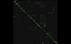 Dynamics of Internet links around a source Dynamics of Internet links around a source