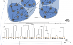 Post-Processing Hierarchical Community Structures Post-Processing Hierarchical Community Structures